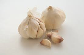 garlic